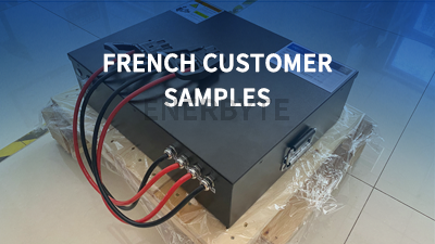 French customer AGV battery sample customization completed